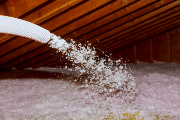 Best Spray Foam Insulation in Ringgold, LA